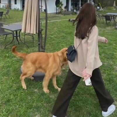 伏虎铁鹰