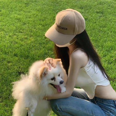 牧羊犬郁金香