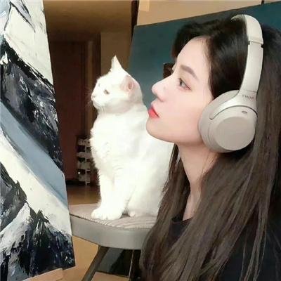 德·普索尼亚克先生